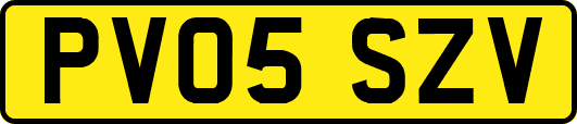 PV05SZV