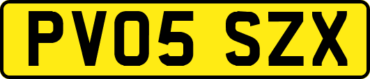 PV05SZX