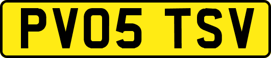 PV05TSV