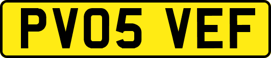 PV05VEF