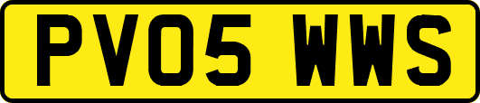PV05WWS