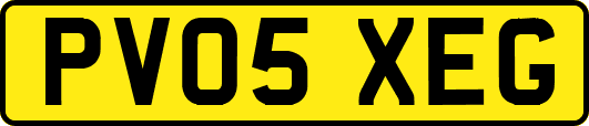 PV05XEG