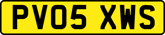 PV05XWS