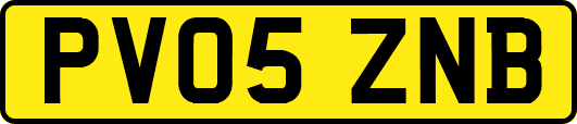 PV05ZNB