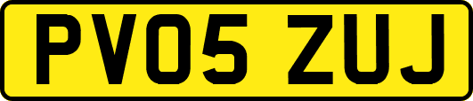 PV05ZUJ