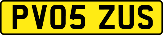 PV05ZUS