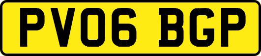 PV06BGP