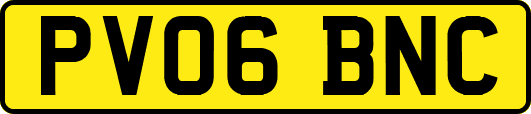PV06BNC