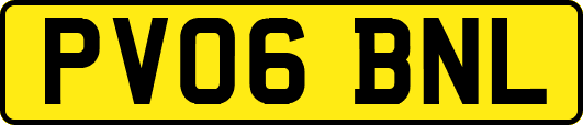 PV06BNL