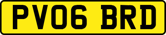 PV06BRD