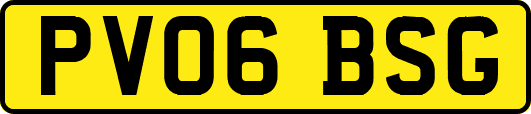 PV06BSG