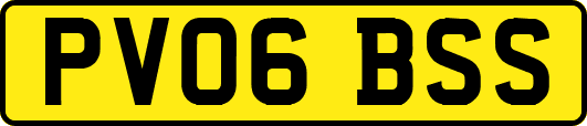 PV06BSS