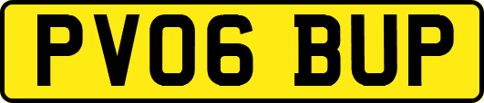 PV06BUP