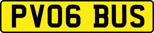 PV06BUS