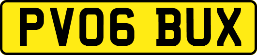 PV06BUX