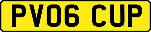 PV06CUP