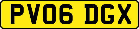 PV06DGX