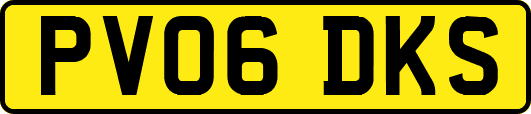 PV06DKS