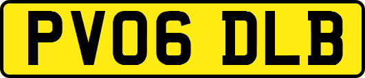PV06DLB