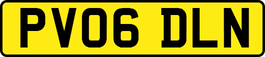 PV06DLN