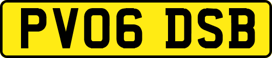 PV06DSB