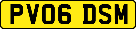 PV06DSM