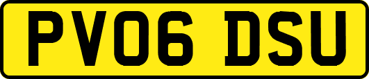 PV06DSU