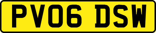 PV06DSW