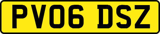 PV06DSZ