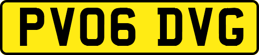 PV06DVG