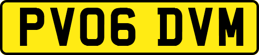 PV06DVM