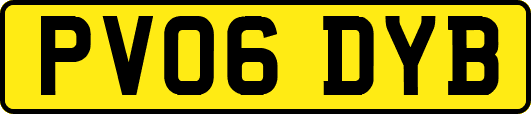 PV06DYB