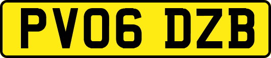 PV06DZB