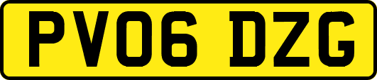 PV06DZG