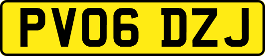 PV06DZJ
