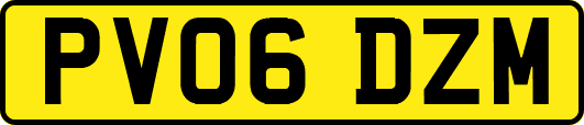 PV06DZM