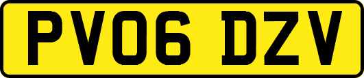 PV06DZV
