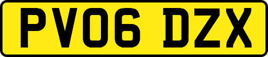 PV06DZX
