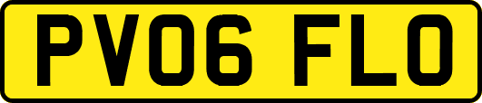 PV06FLO