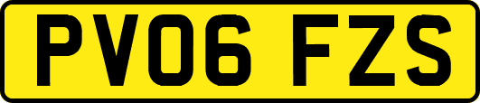 PV06FZS