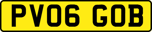 PV06GOB