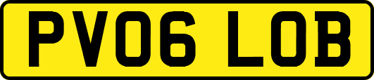 PV06LOB