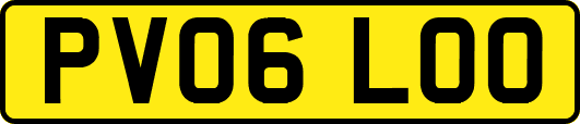 PV06LOO