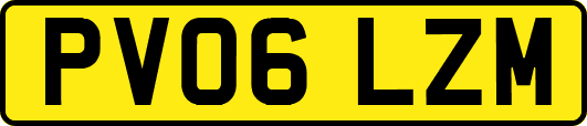 PV06LZM
