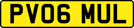 PV06MUL