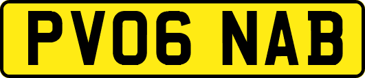 PV06NAB