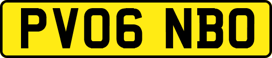PV06NBO