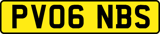 PV06NBS