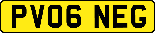 PV06NEG