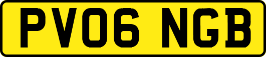 PV06NGB